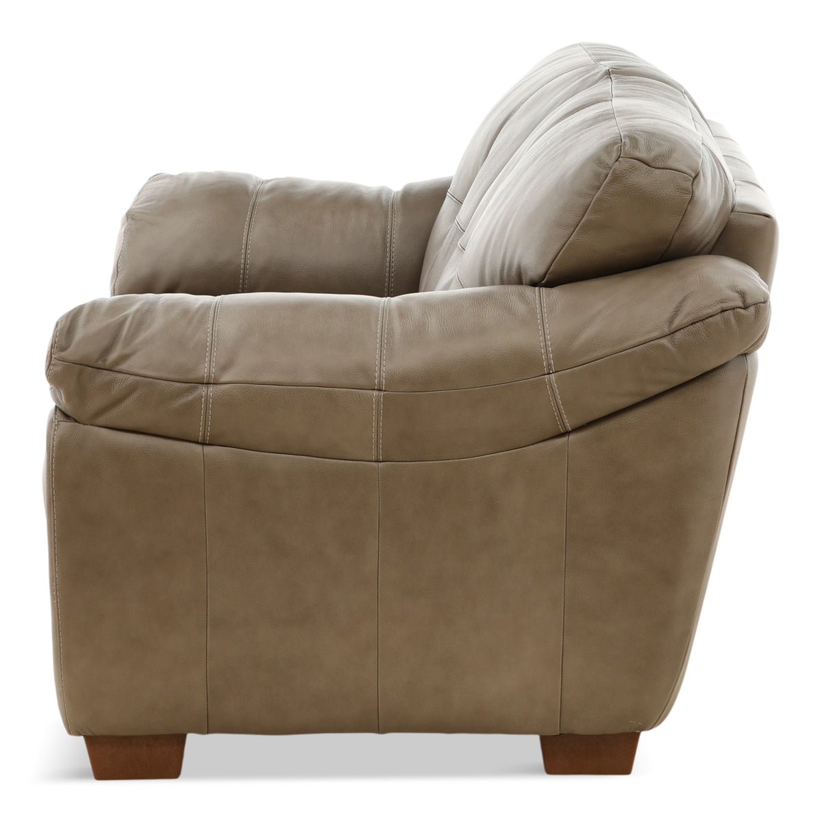 Camy Leather Loveseat