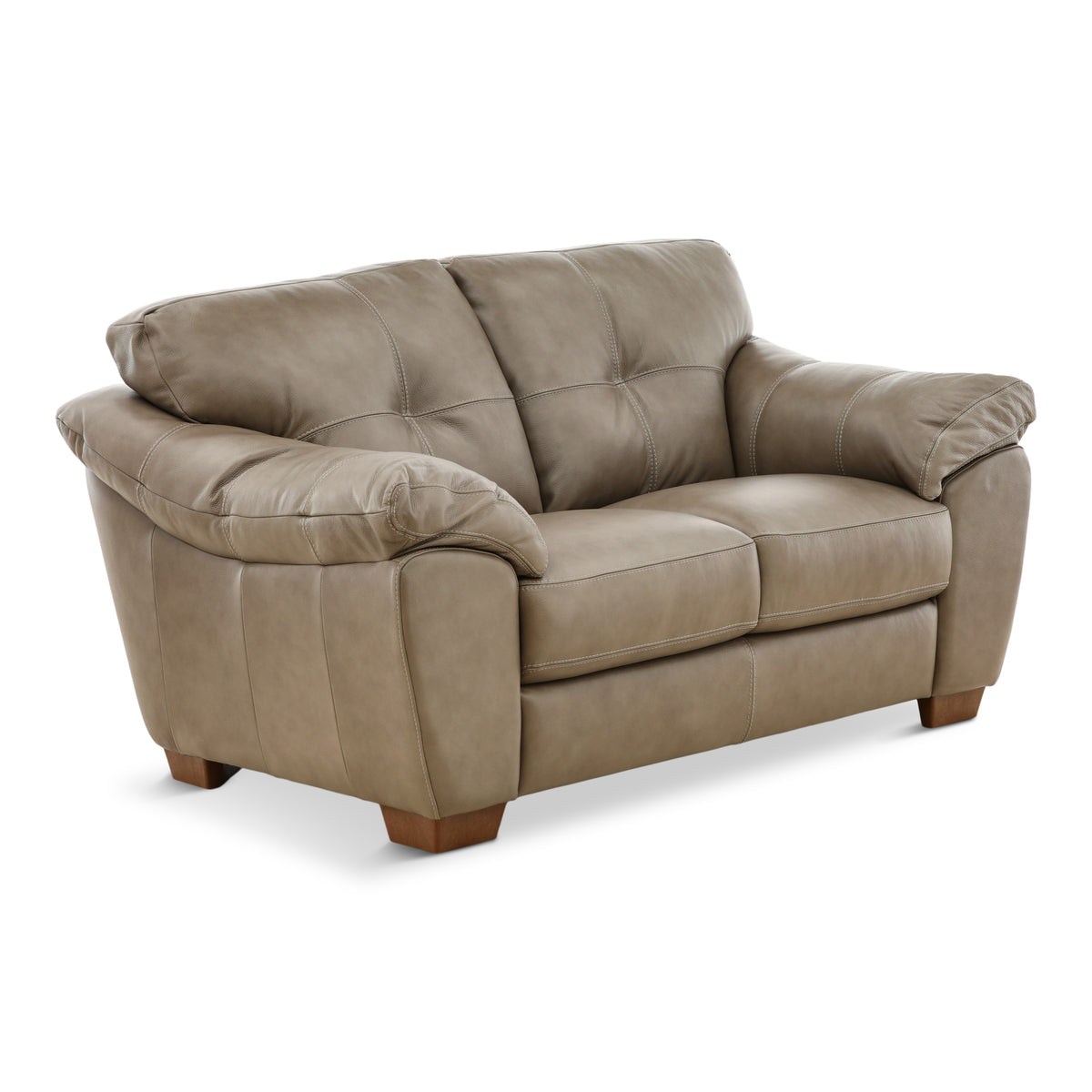 Camy Leather Loveseat