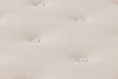 Avocado Green Medium Plush Pillow Top Mattress