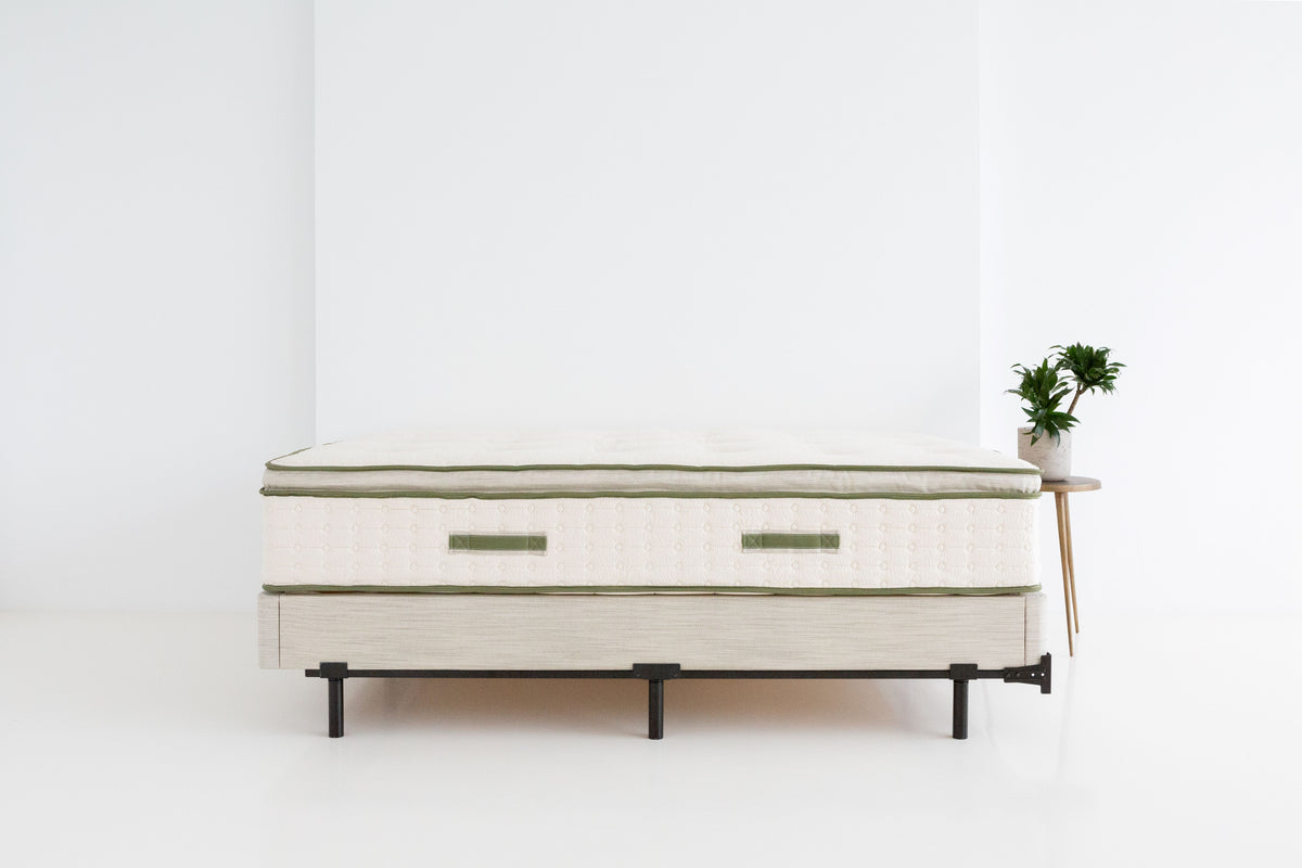 Avocado Green Medium Plush Pillow Top Mattress