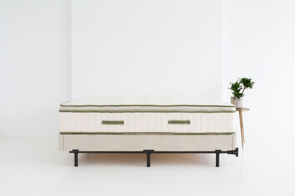 Avocado Green Medium Plush Pillow Top Mattress