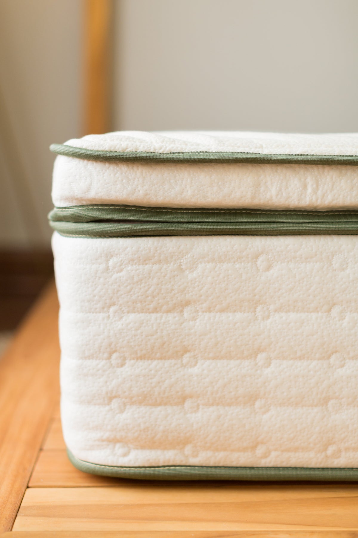 Avocado Green Medium Plush Pillow Top Mattress