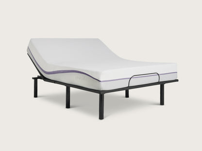 Purple Adjustable Base