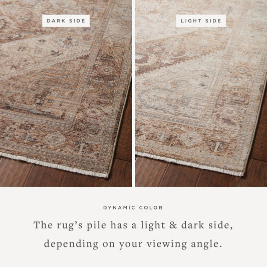 Lyra Natural/Mocha Rug - alternate view