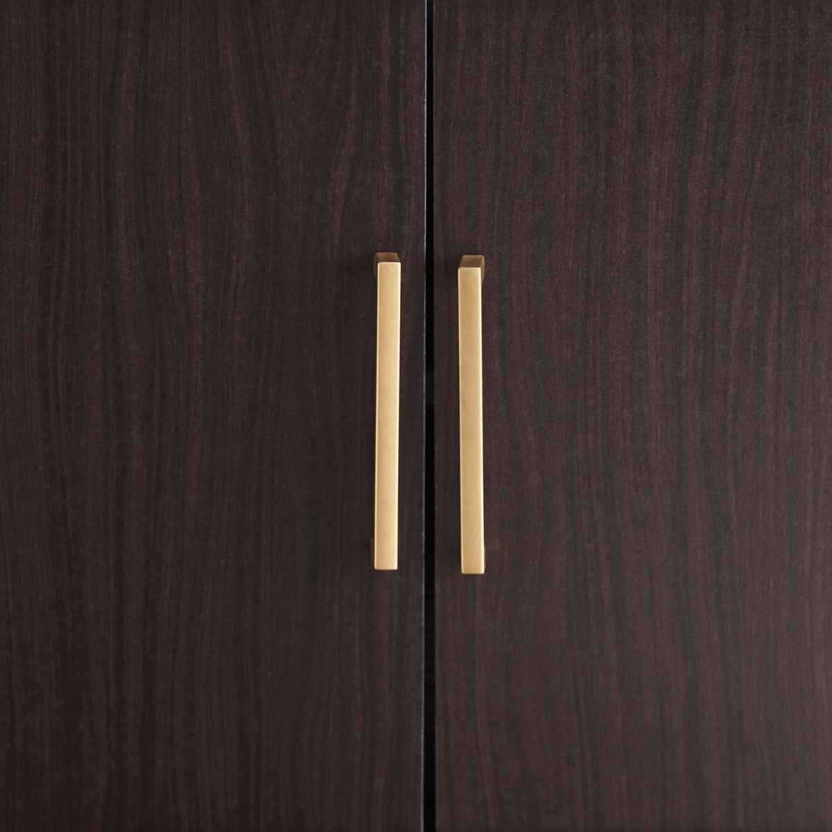 Orinfield 2-Door Accent Cabinet