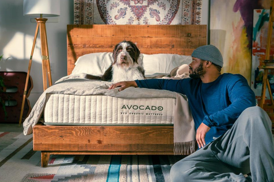 Avocado Eco Organic Mattress_1