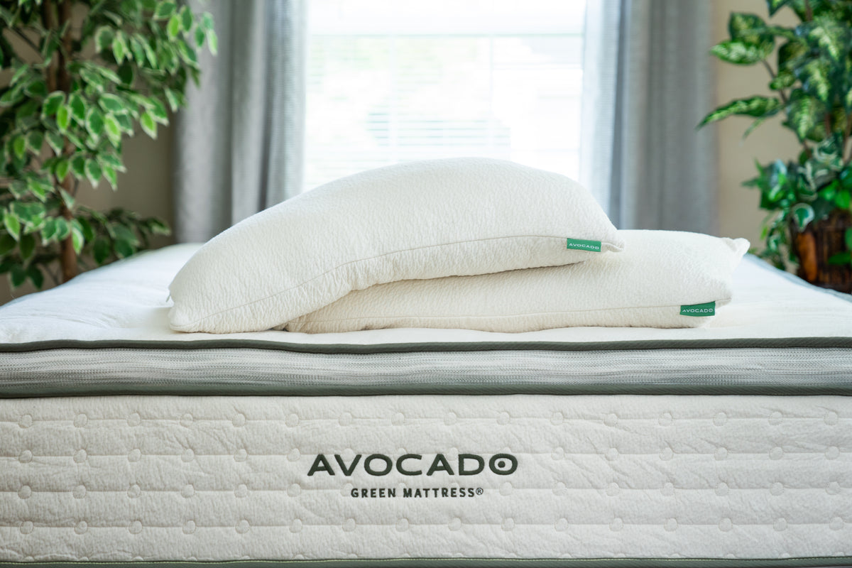 Avocado Green Medium Plush Pillow Top Mattress