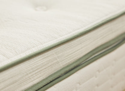 Avocado Green Plush Box Top Mattress