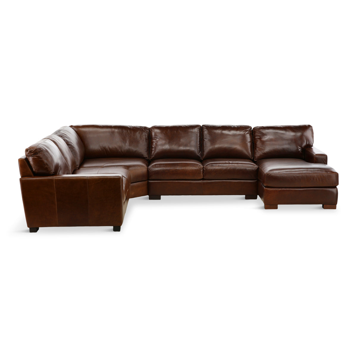 Riccardo Leather 4-Piece Sectional with Chaise