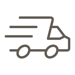 rapid delivery truck icon